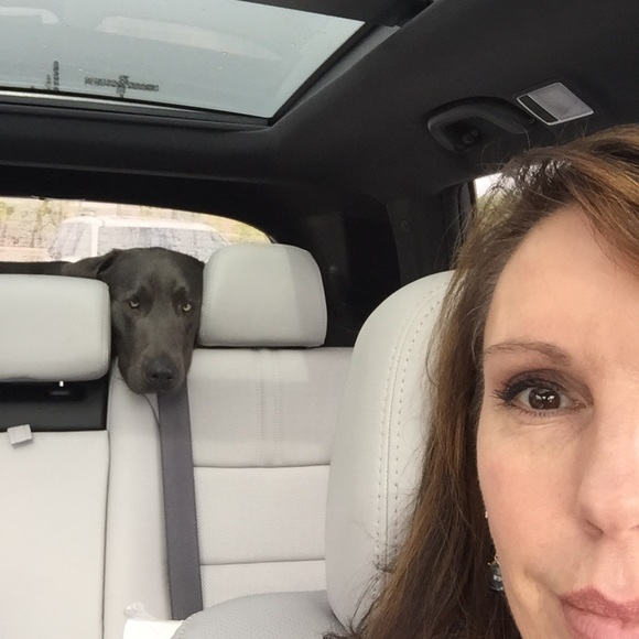 Meet your Posher, M - Picture 1 of 1